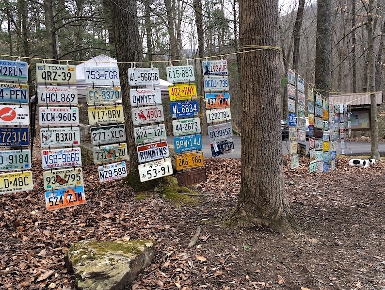 The Barkley Marathons camp and the hanging license plates from past virgins.